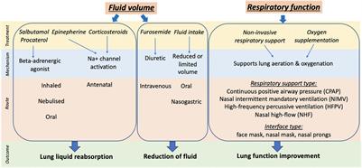 Evaluating Clinical Outcomes and Physiological Perspectives in Studies Investigating Respiratory Support for Babies Born at Term With or at Risk of Transient Tachypnea: A Narrative Review